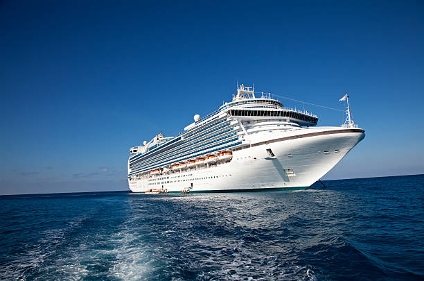 cruse